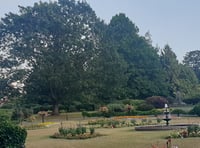 New community event set to light up town park