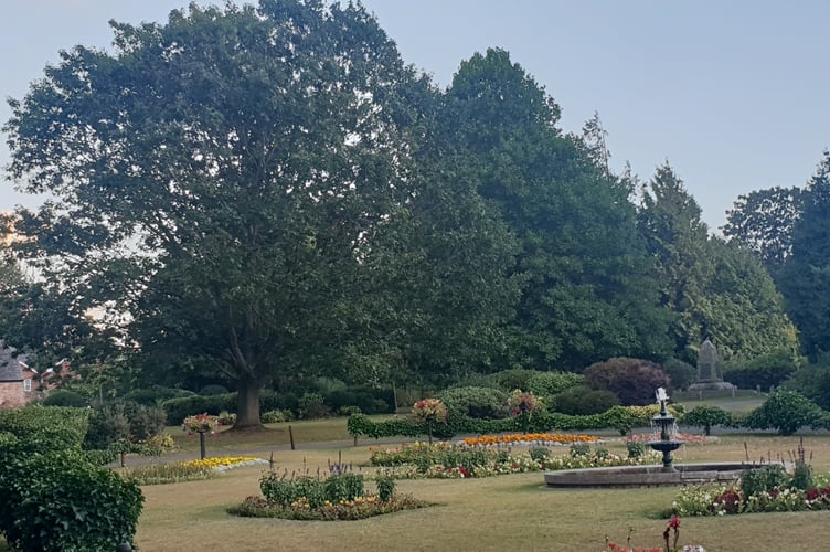This red oak tree is featured on Wellington Town Council's park tree trail.