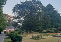 New community event set to light up Wellington Town Park