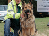 Animal sanctuary hosting annual dog show