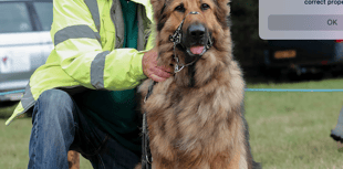 Animal sanctuary hosting annual dog show