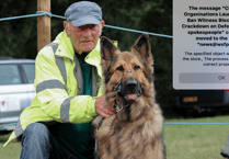 Ferne Animal Sanctuary dog show to include car boot sale this year