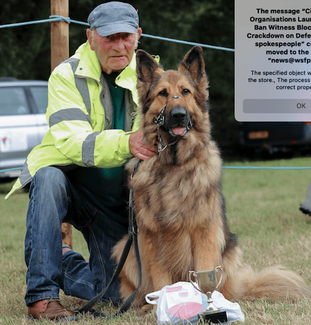 One of last year's winners in the Ferne Animal Sanctuary dog show.