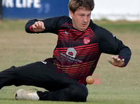 Campbell stepping down as captain of Wellington 