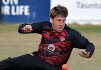 Campbell stepping down as captain of Wellington