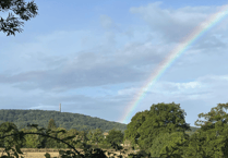 Letters to the Editor