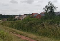 Developers make council a Wellington housing offer it can't refuse