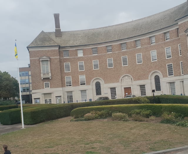 Council hiring £20 million consultants to save money