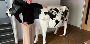 Cheesemaker appoints new boss from 'Down Under'