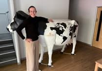 New manager moves from Australia to Wellington to take charge of cheesemaker