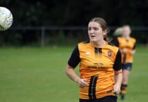 Wildcats hit by injuries in losing away to Banwell