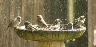 Letters from our readers: Raising the Colours - for or against? 