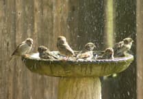 Letters from our readers: Raising the Colours - for or against?