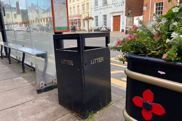 Wellington Town Council's environment committee will look to create a working group to develop proposals for future arrangements of street cleaning