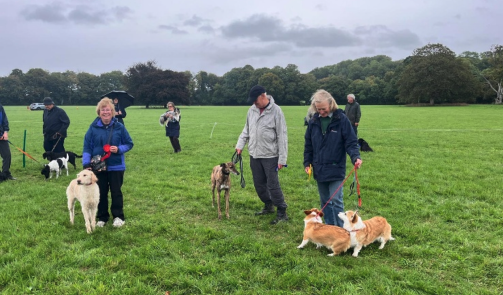 Some of the dog owners who attended a country fair to raise funds for the charity Somerset Sight.