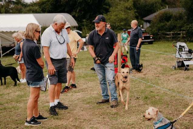 Every entry to the 'Online Dog & Cat Show' will help raise vital funds to support Ferne Animal Sanctuary’s ongoing work rescuing, rehabilitating and rehoming animals in need