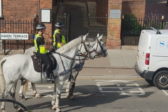 Police Horses Max and trainee Gordon waiting patiently for traffic to move on