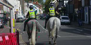 Police's newest equine recruit goes on patrol in Wellington 