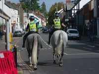 Police's newest equine recruit goes on patrol in Wellington 