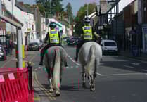 "Coming through, police horse in training"