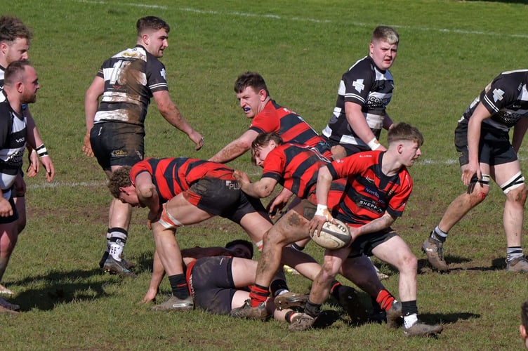 Mikey Taylor in action for Wellington last season