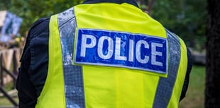 Police identify suspects after burglary spree