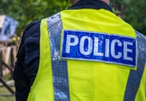 Police identify suspects in Wellington thefts