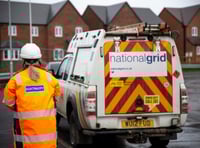 National Grid set to start safety inspections around Wellington