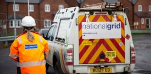 National Grid set to start safety inspections around Wellington