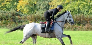 Plenty of good racing at Chepstow meeting 