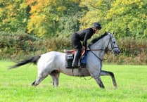 Plenty of good racing at Chepstow meeting