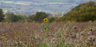 Letters to the Editor from around Wellington