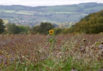 Letters to the Editor from around Wellington