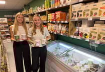 Teenagers' first business venture sees them produce unique new ice cream range