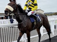 Order of the Dance in winning stable debut 