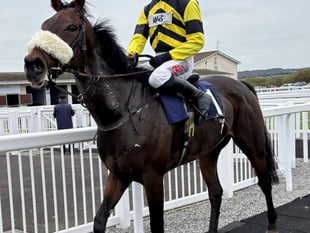 Order of the Dance in winning stable debut 