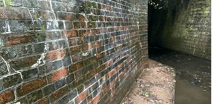Town council "appalled" by Islamophobic graffiti