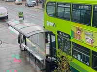 Bus shelters seek sponsors