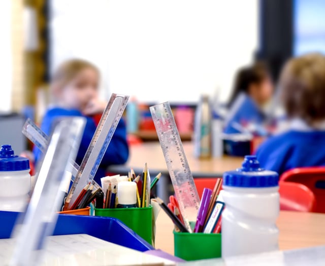 Council leader describes SEND reform as "massively disappointing"