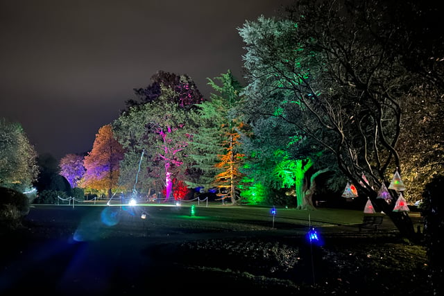 More than 2,000 people attend first Garden of Light
