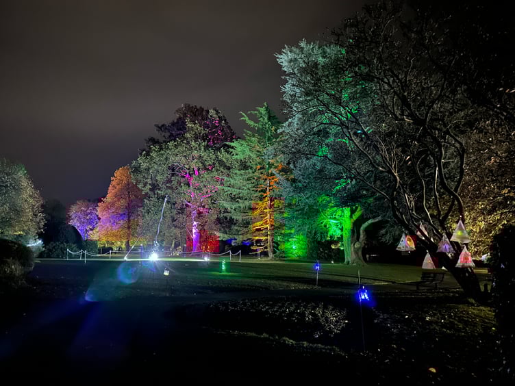 Wellington Park was awash with light, colour and art as the town held it's first Garden of Light.