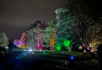 More than 2,000 people attend Wellington's first Garden of Light