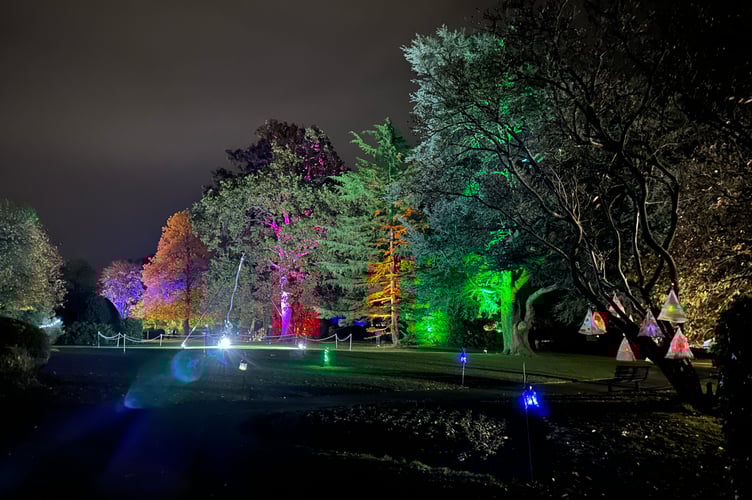 Wellington Park was awash with light, colour and art as the town held it's first Garden of Light.