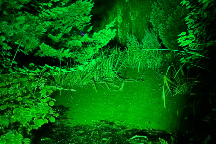 The evening had a theme of nature and native species.