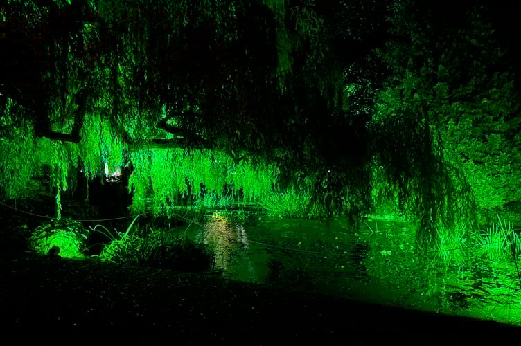 More than 2,000 people attended the Garden of Light. 