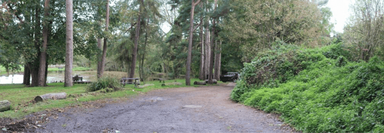 Two bungalows were proposed to be built at the Basins, Wellington, behind the hedge to the right.