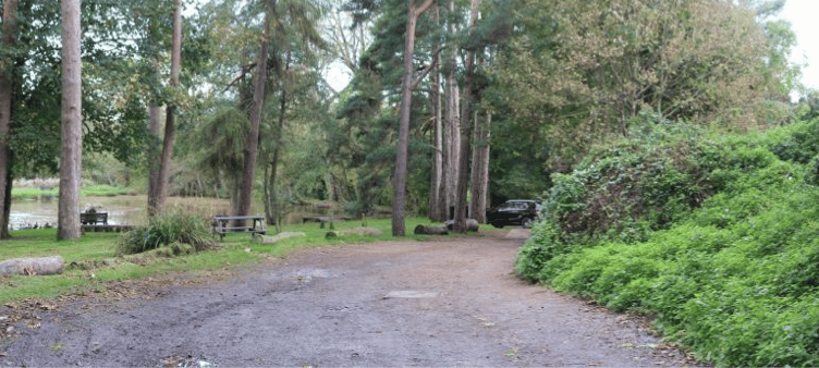 Two bungalows were proposed to be built at the Basins, Wellington, behind the hedge to the right.