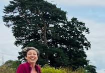 Transition Town Wellington: Sustainable Living