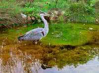 Letters from our readers in Wellington and beyond