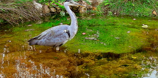 Letters from our readers in Wellington and beyond